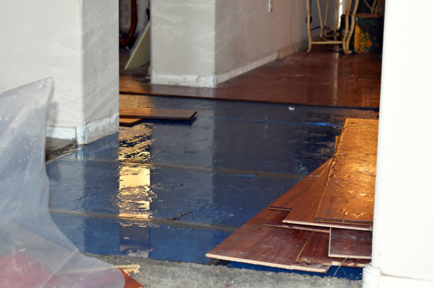 Professional Water Damage Restoration technician working in Clairfield, TN